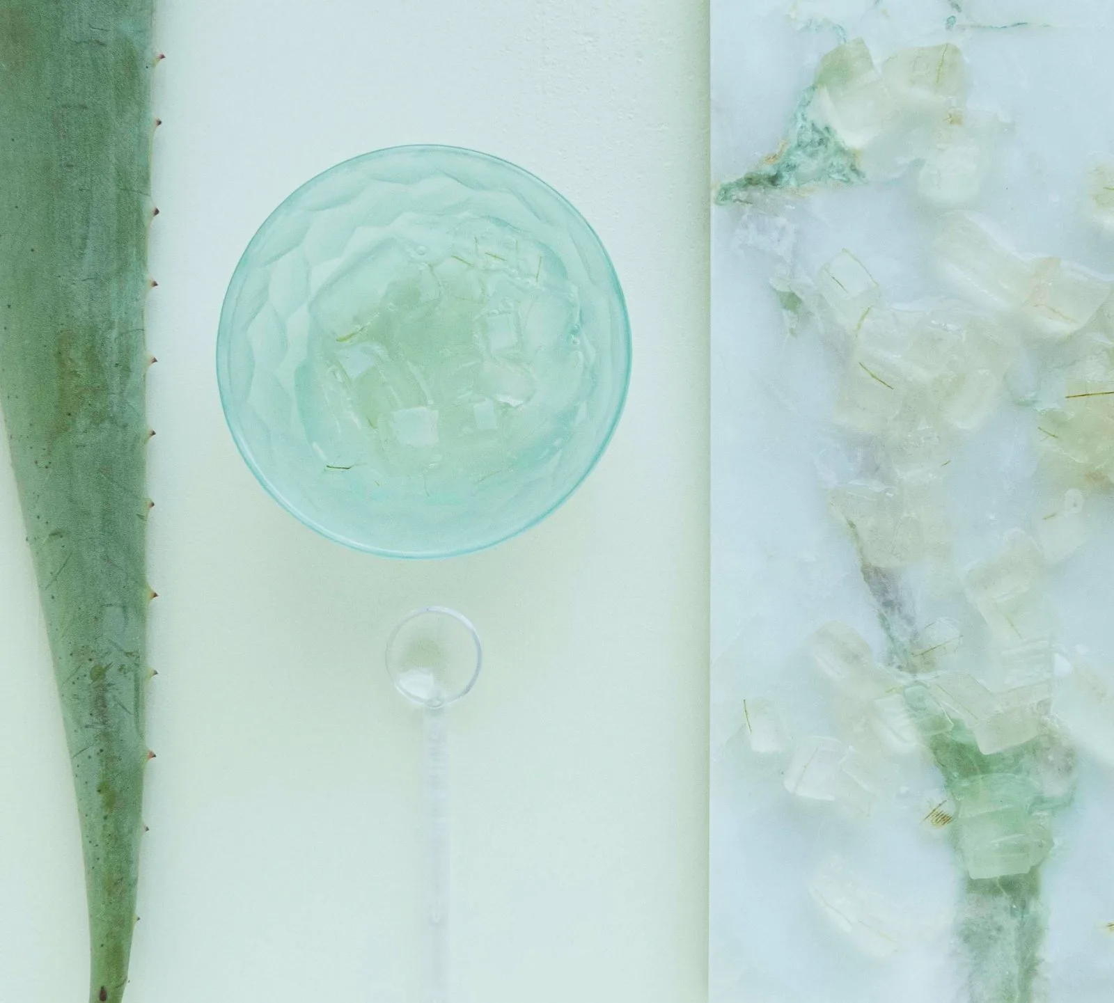 Fresh aloe vera plant and gel for natural bruise treatment