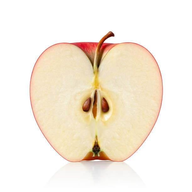Cross-section of an apple — the red skin represents your skin layers, the yellow flesh represents your fat, muscle, and bone