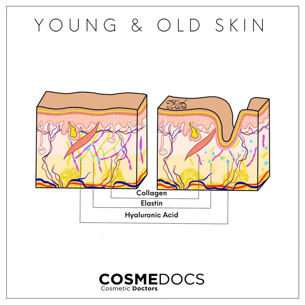 young and old skin illustration