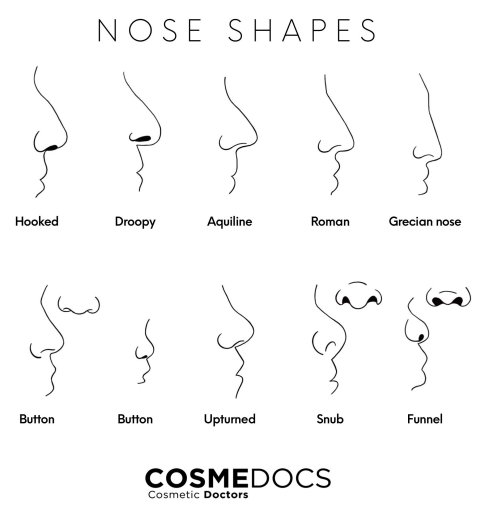 nose shapes illustration