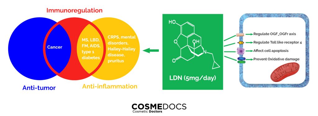 Naltrexone In Action