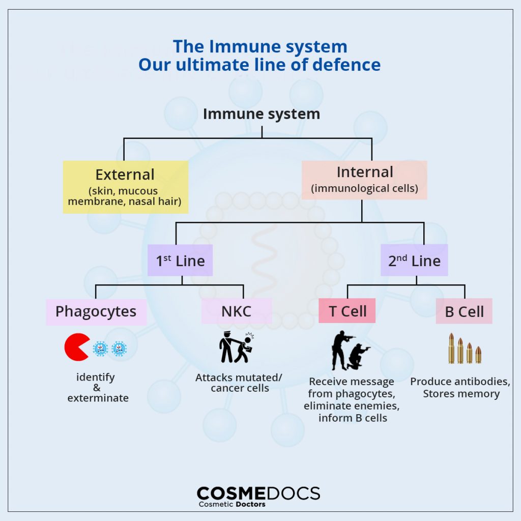 how immune system works